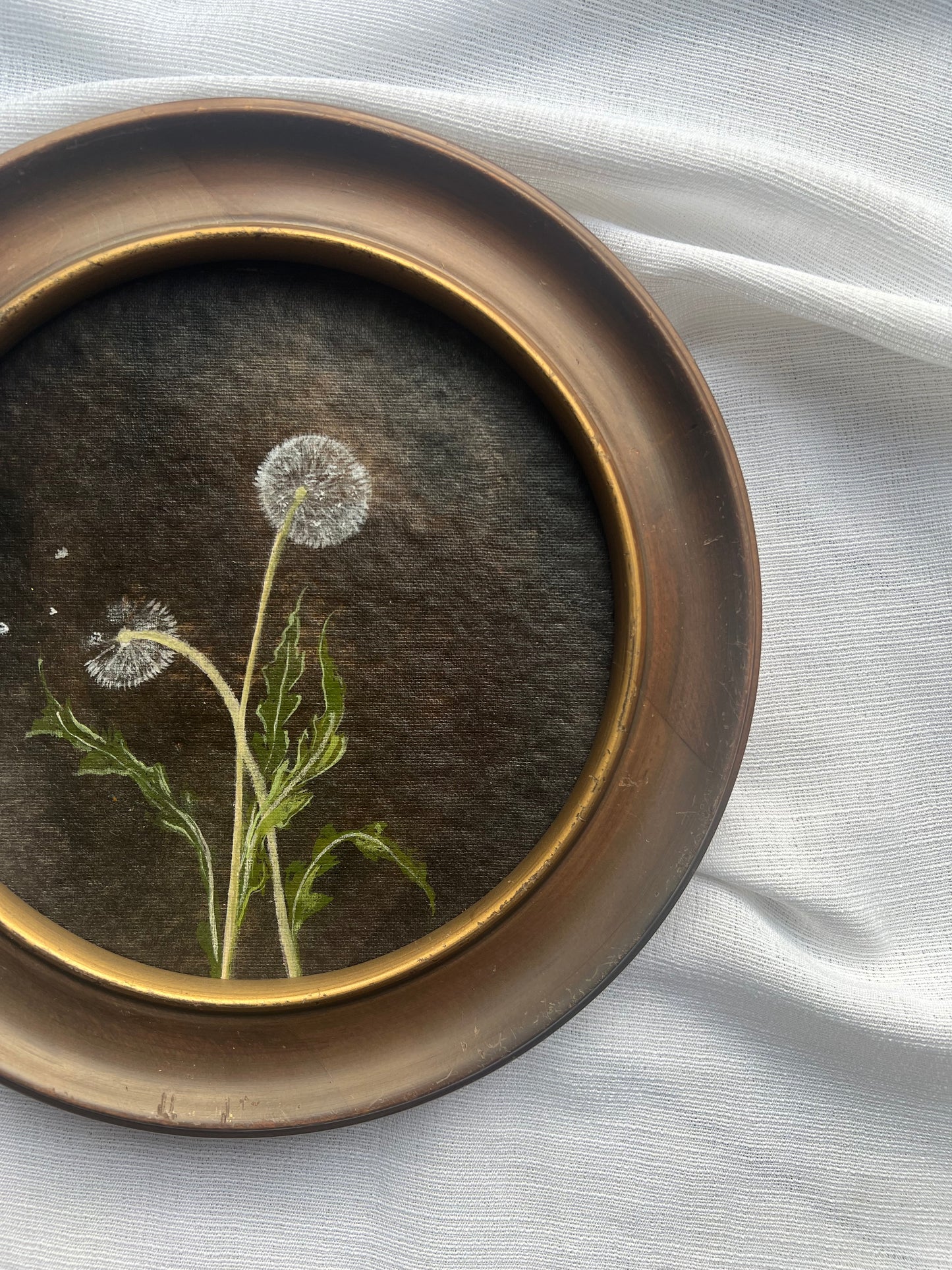 Dandelions