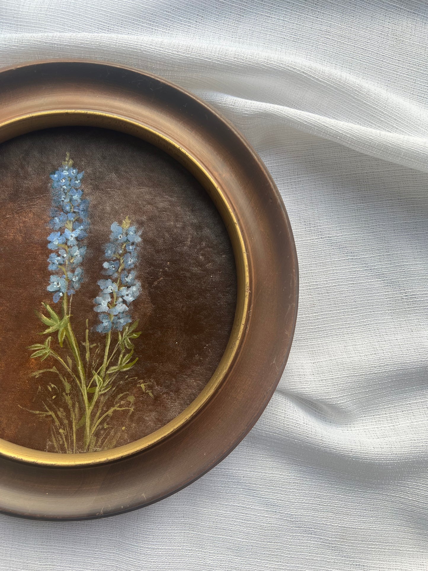 Bluebonnet