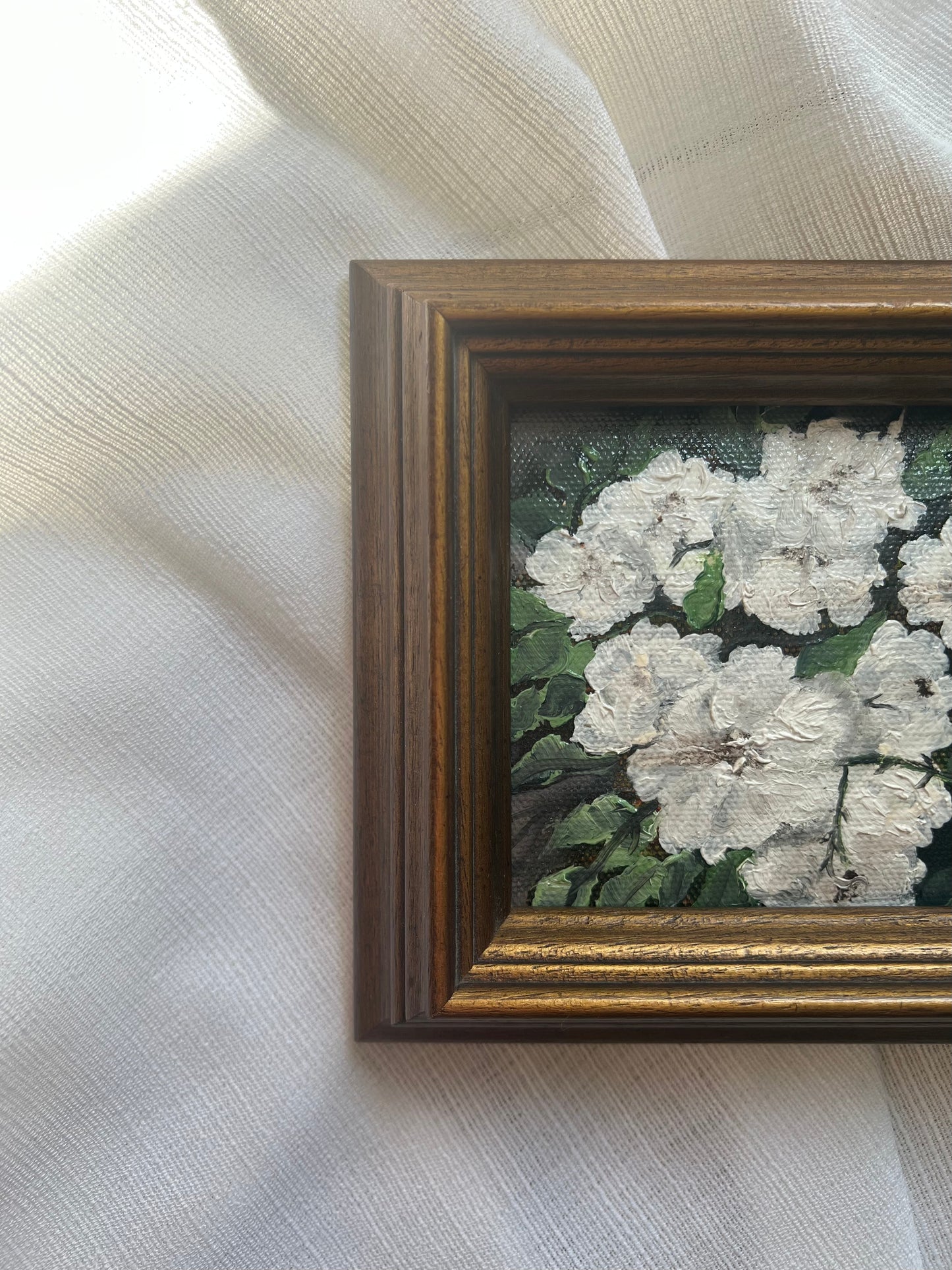 Solace in Bloom