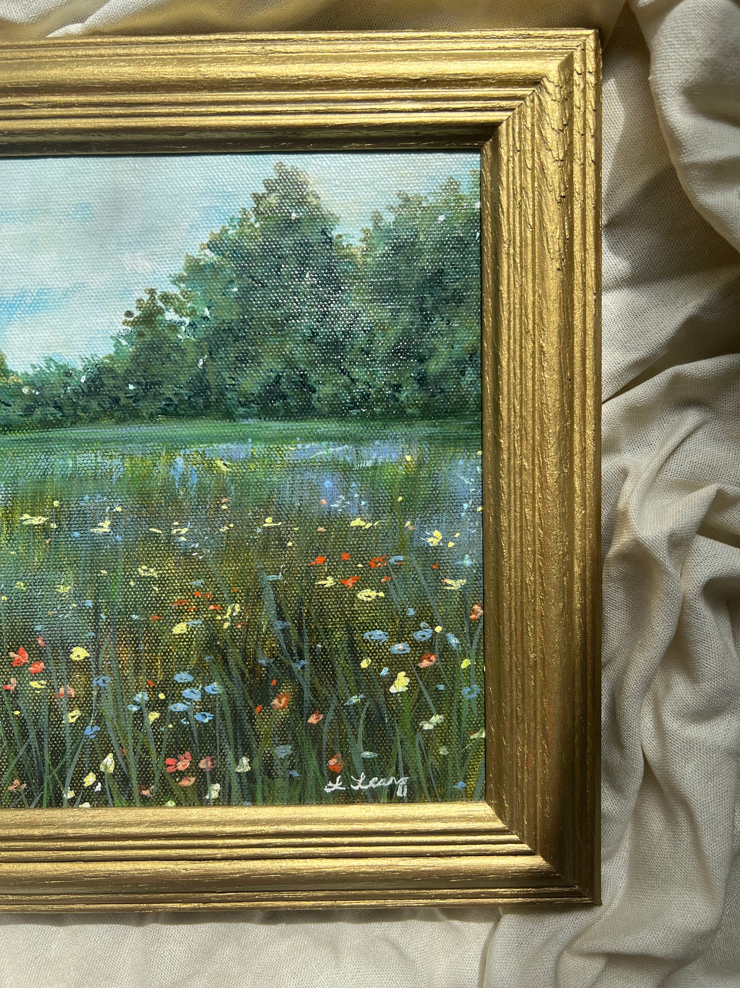 The search of the meadow