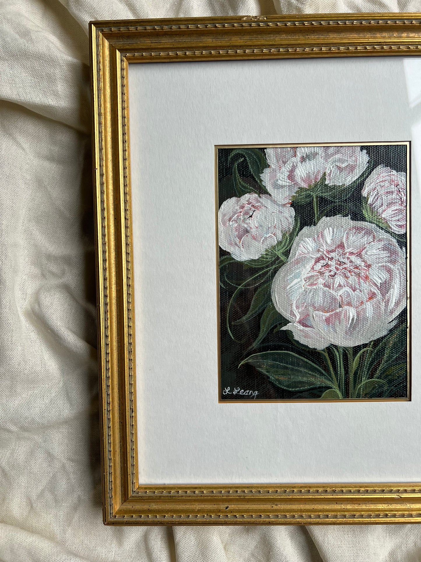 Peonies in a dreamy bloom