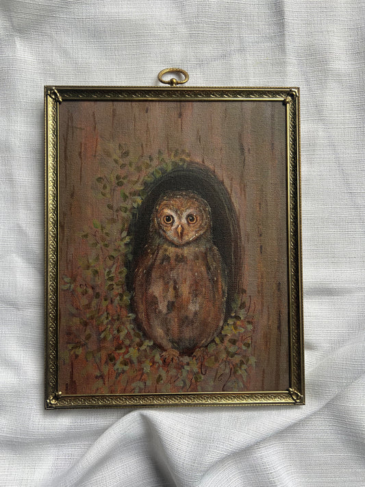 Woodland Watcher