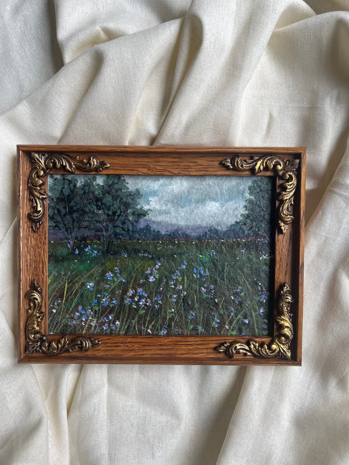 Summer meadow