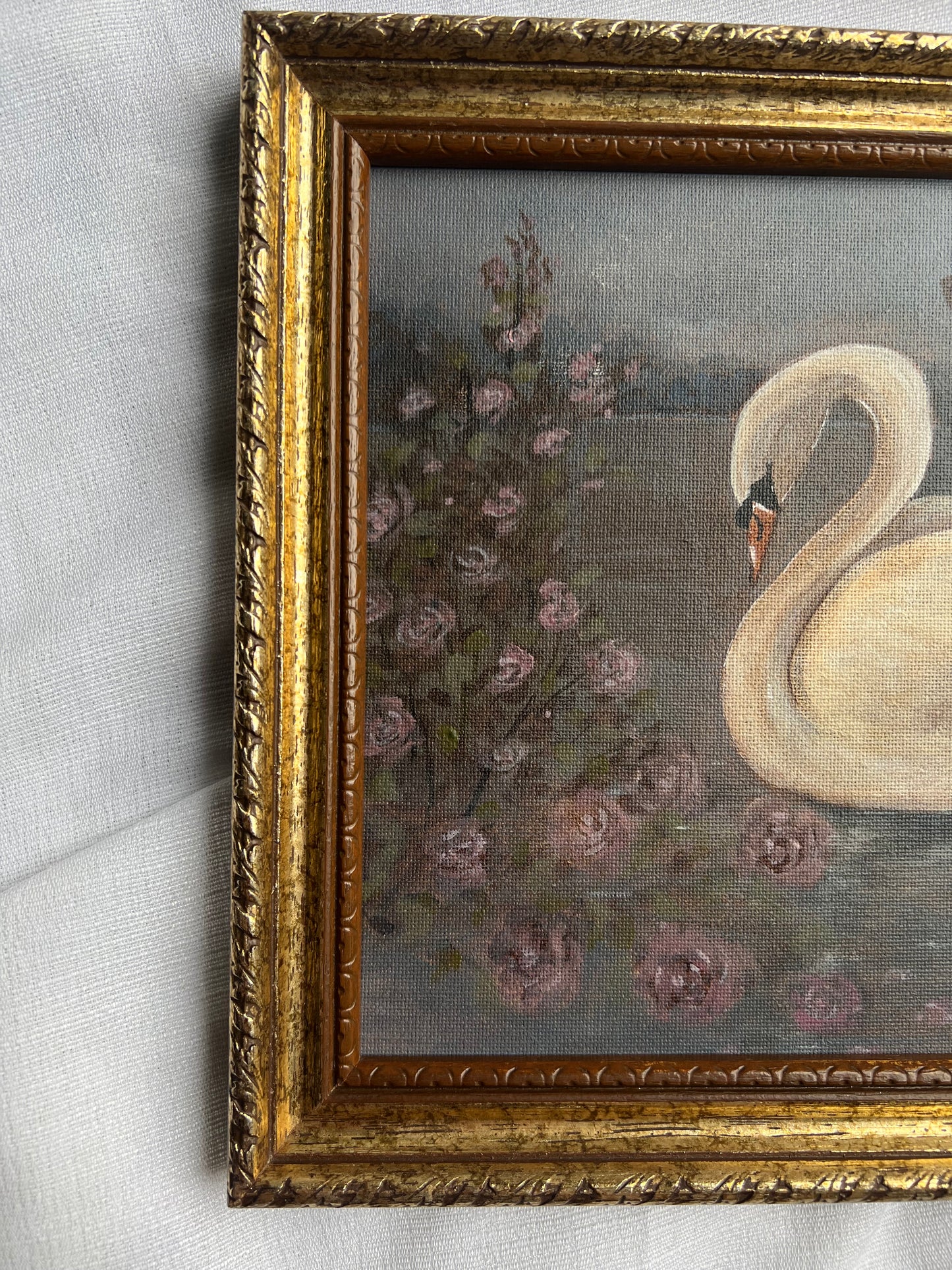 Swan Lake Dreams