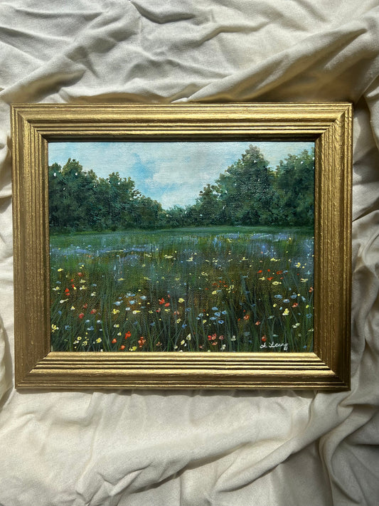 The search of the meadow