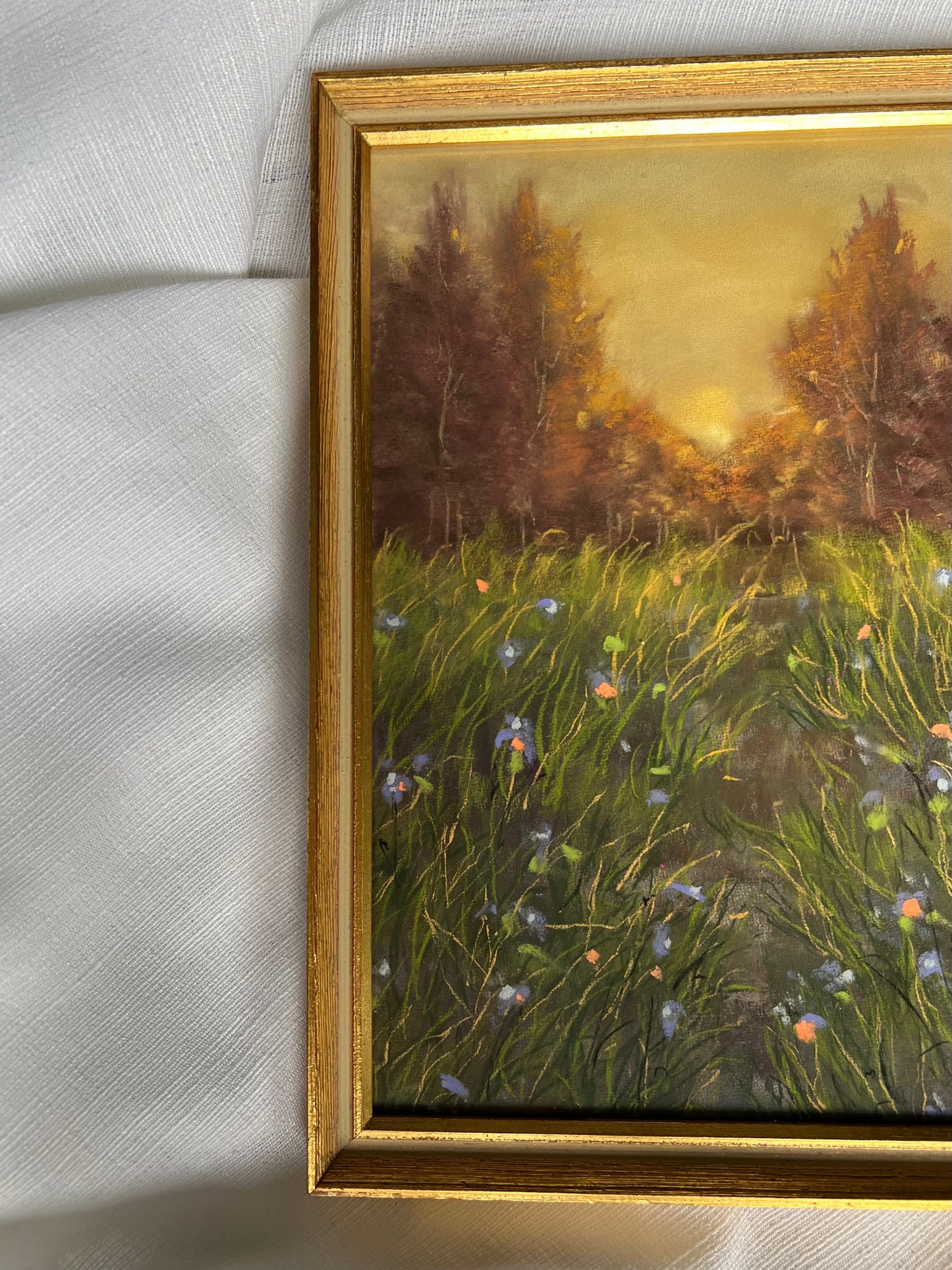 The Golden Meadow