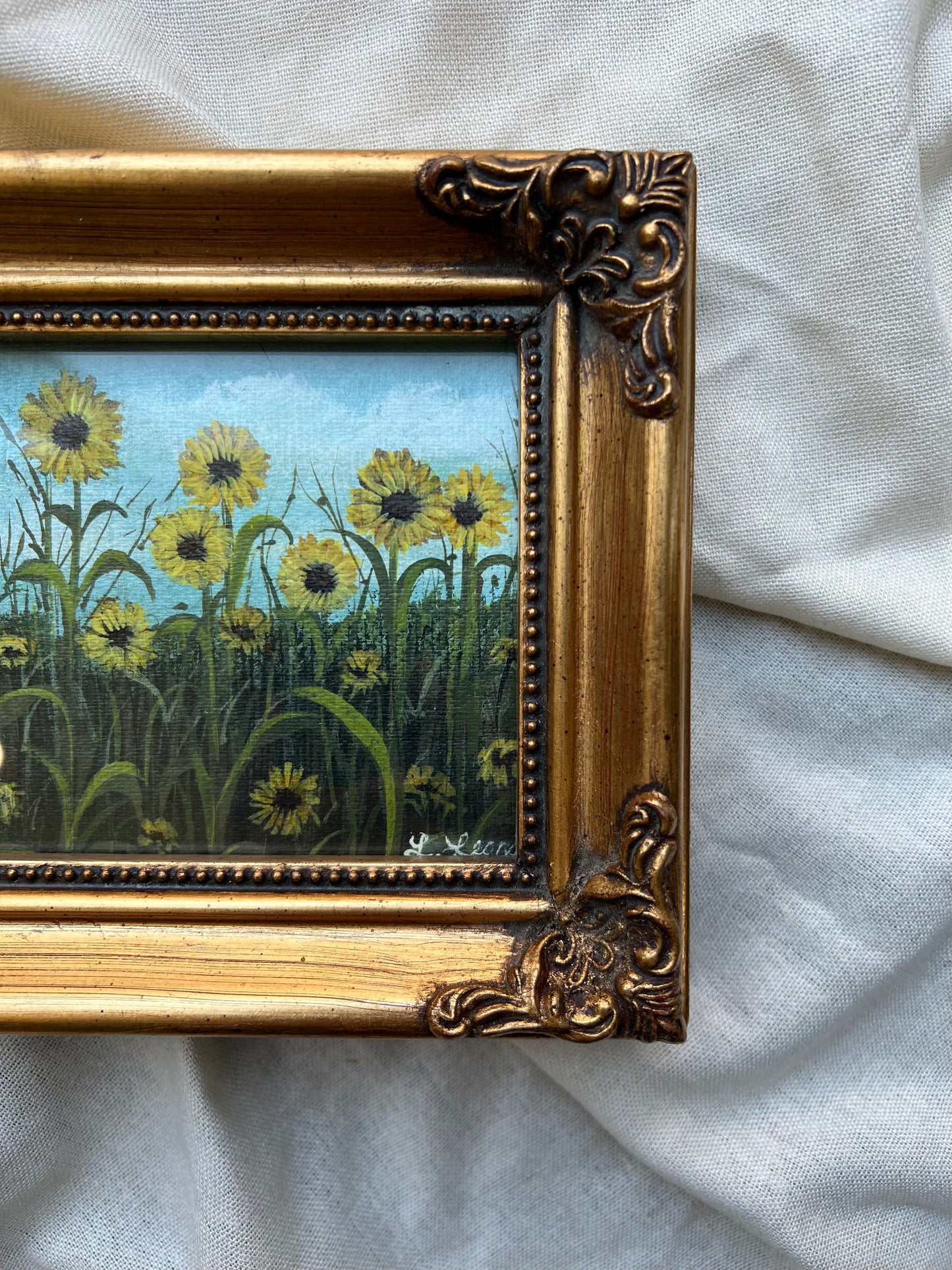 Here in the sunflower field
