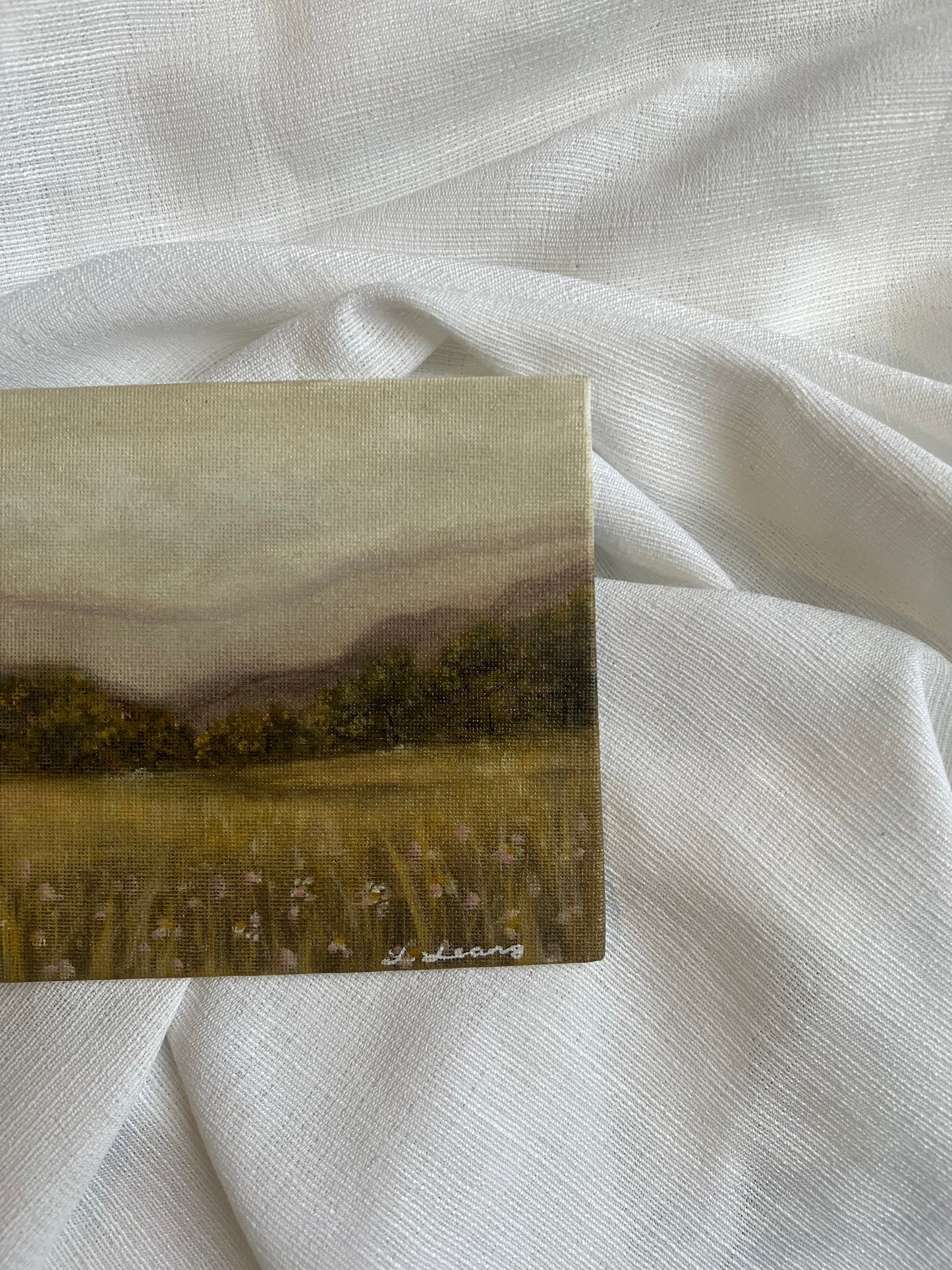 Golden Meadow