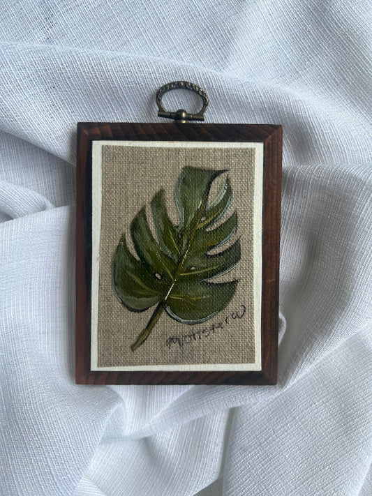 Monstera Deliciosa