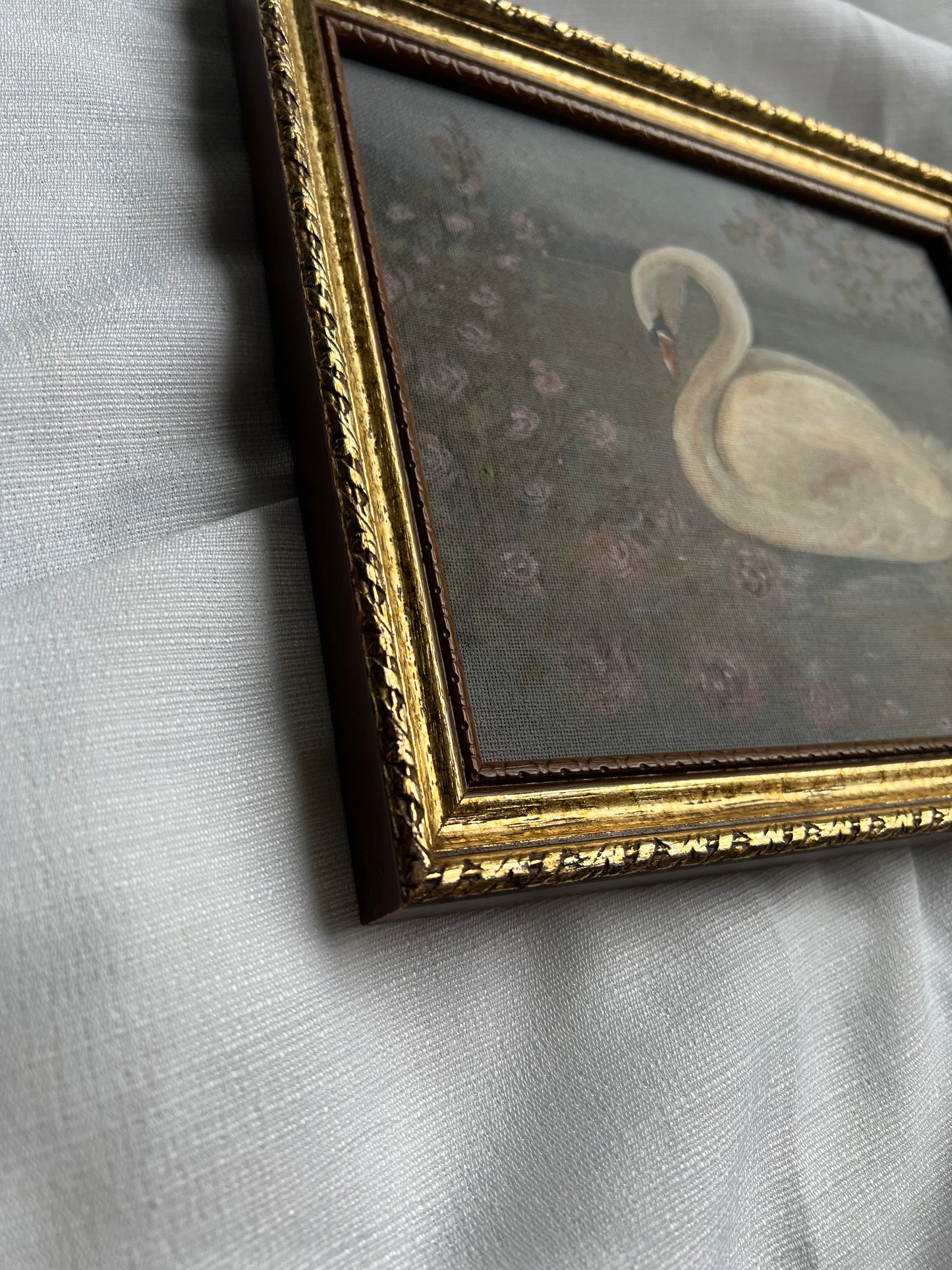 Swan Lake Dreams