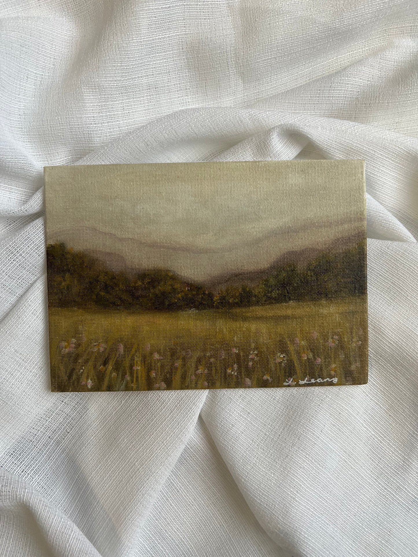 Golden Meadow