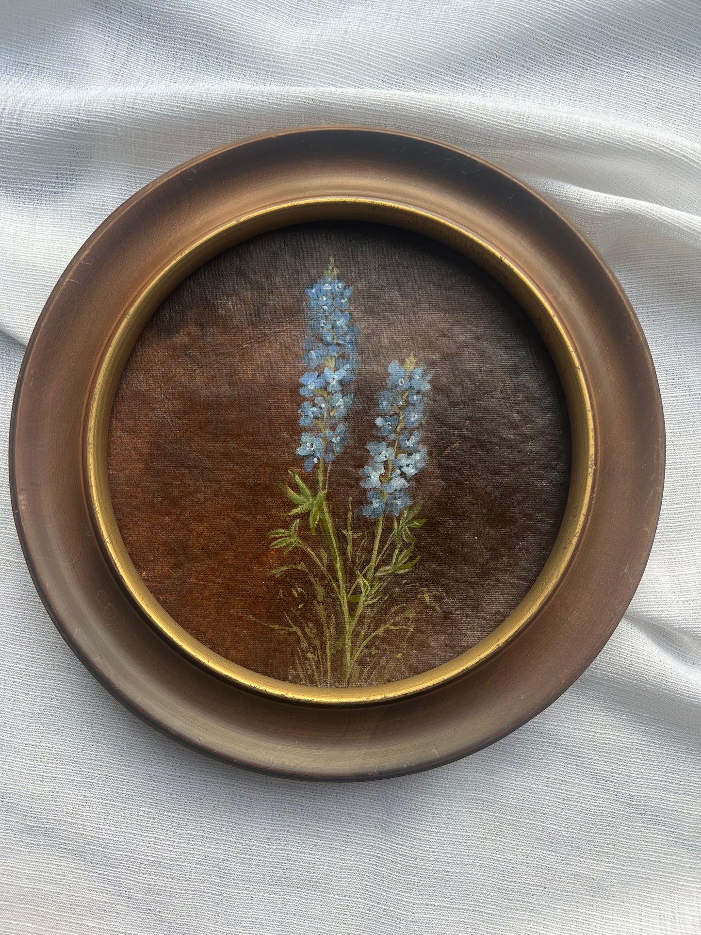 Bluebonnet