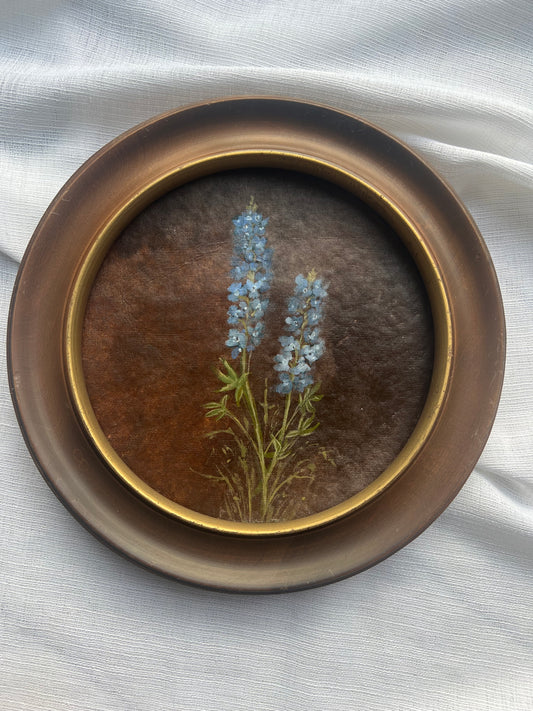 Bluebonnet