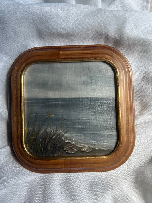 Morning Shore