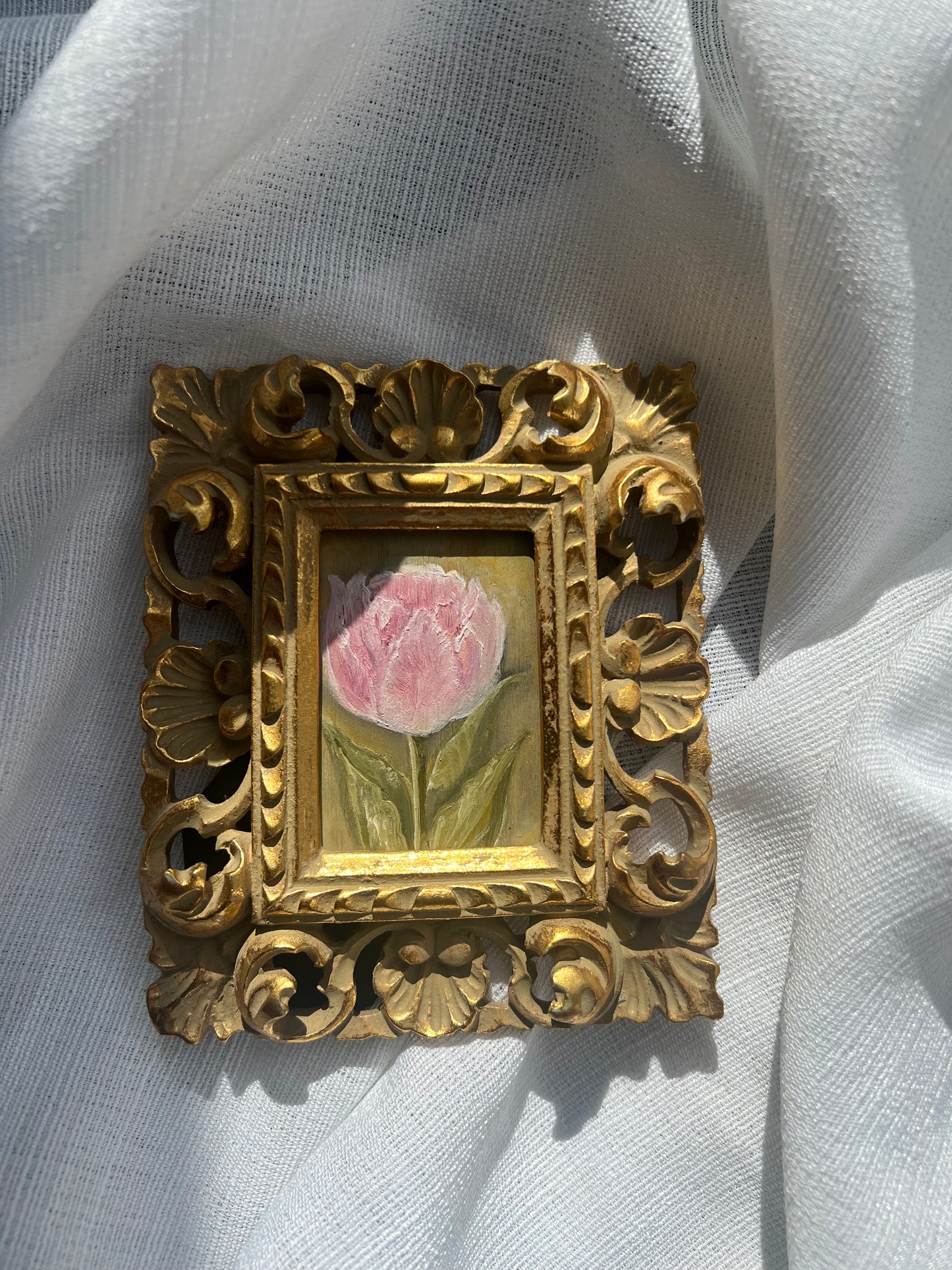 Blush Tulip