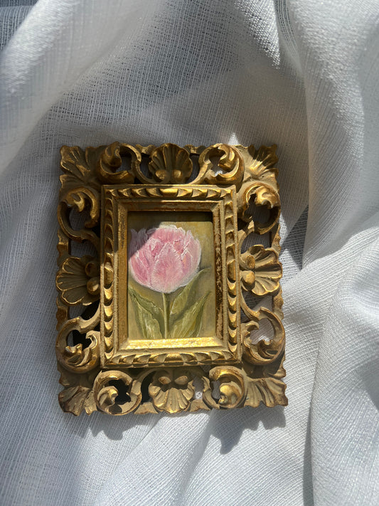 Blush Tulip