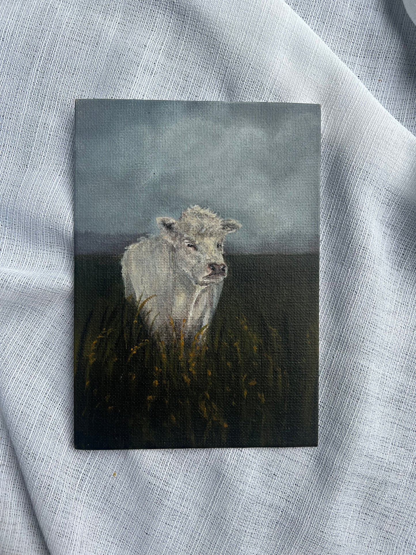 Little Cow