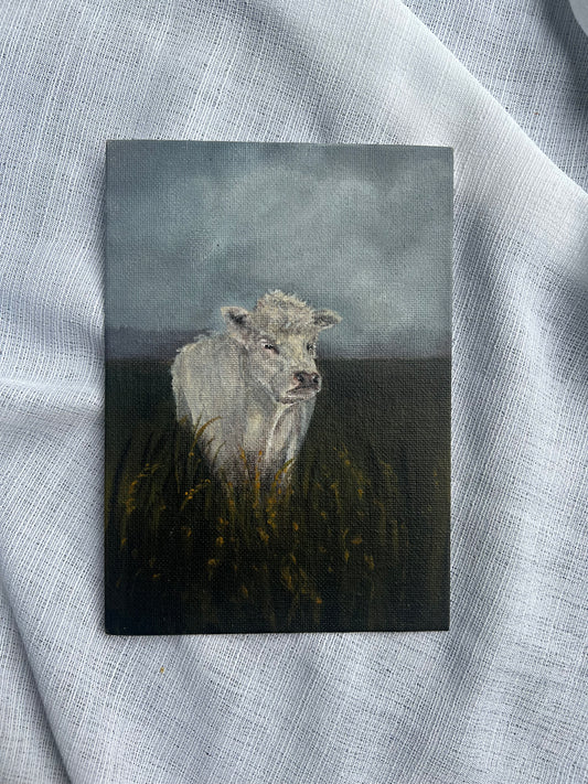Little Cow