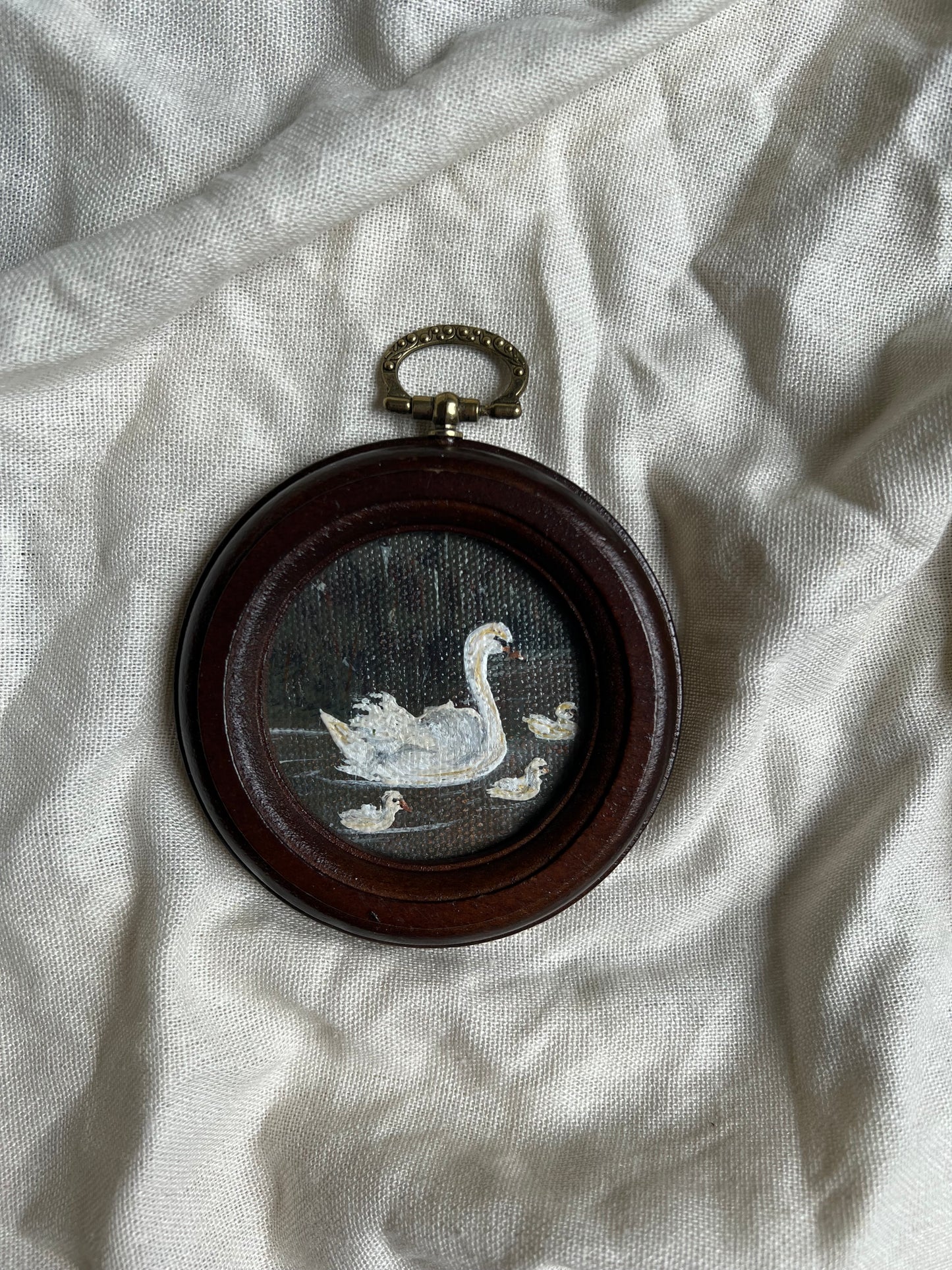 Swan in shadow