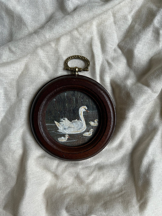 Swan in shadow