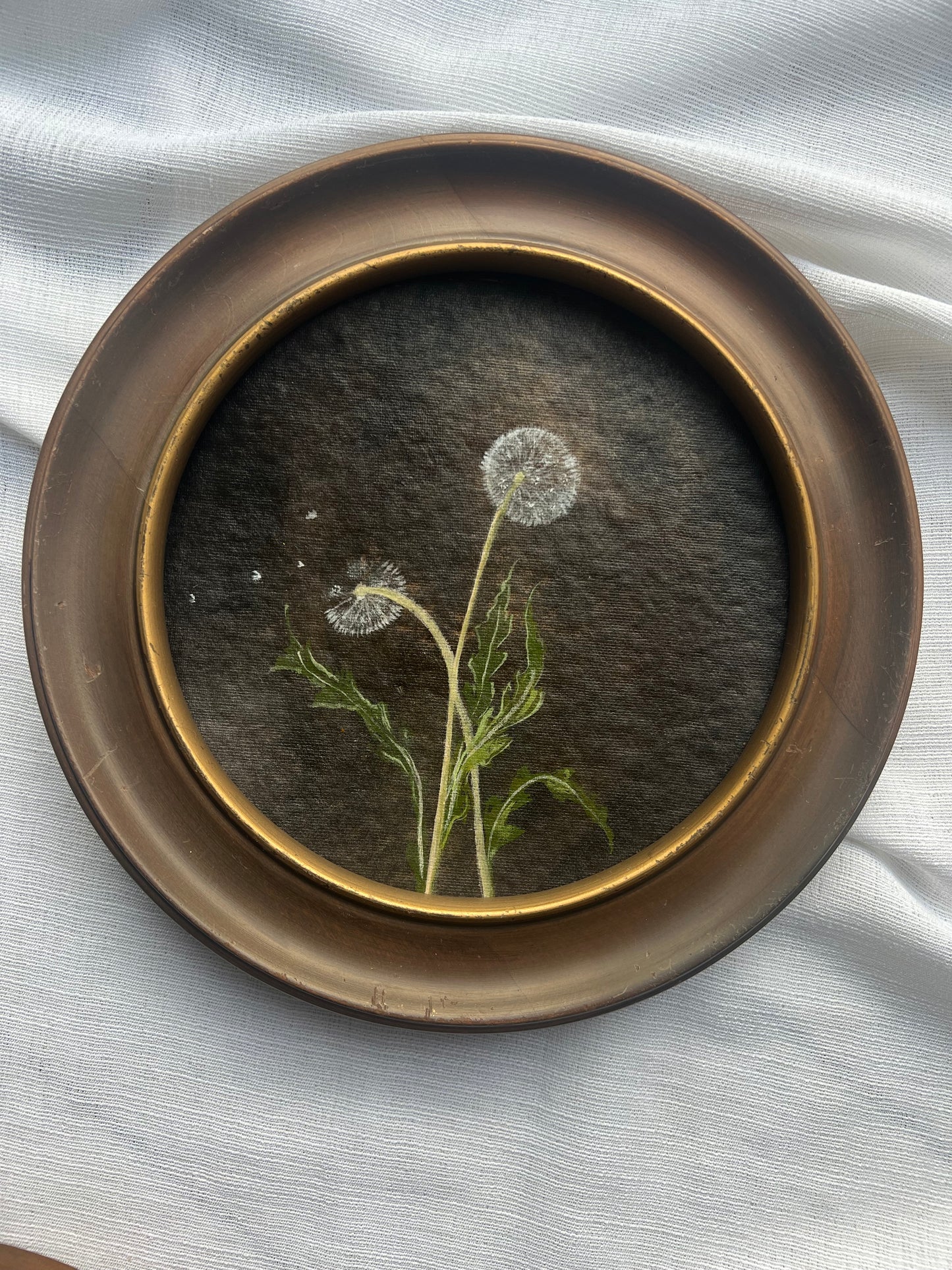 Dandelions