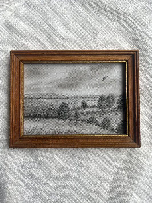 Above the Evergreens