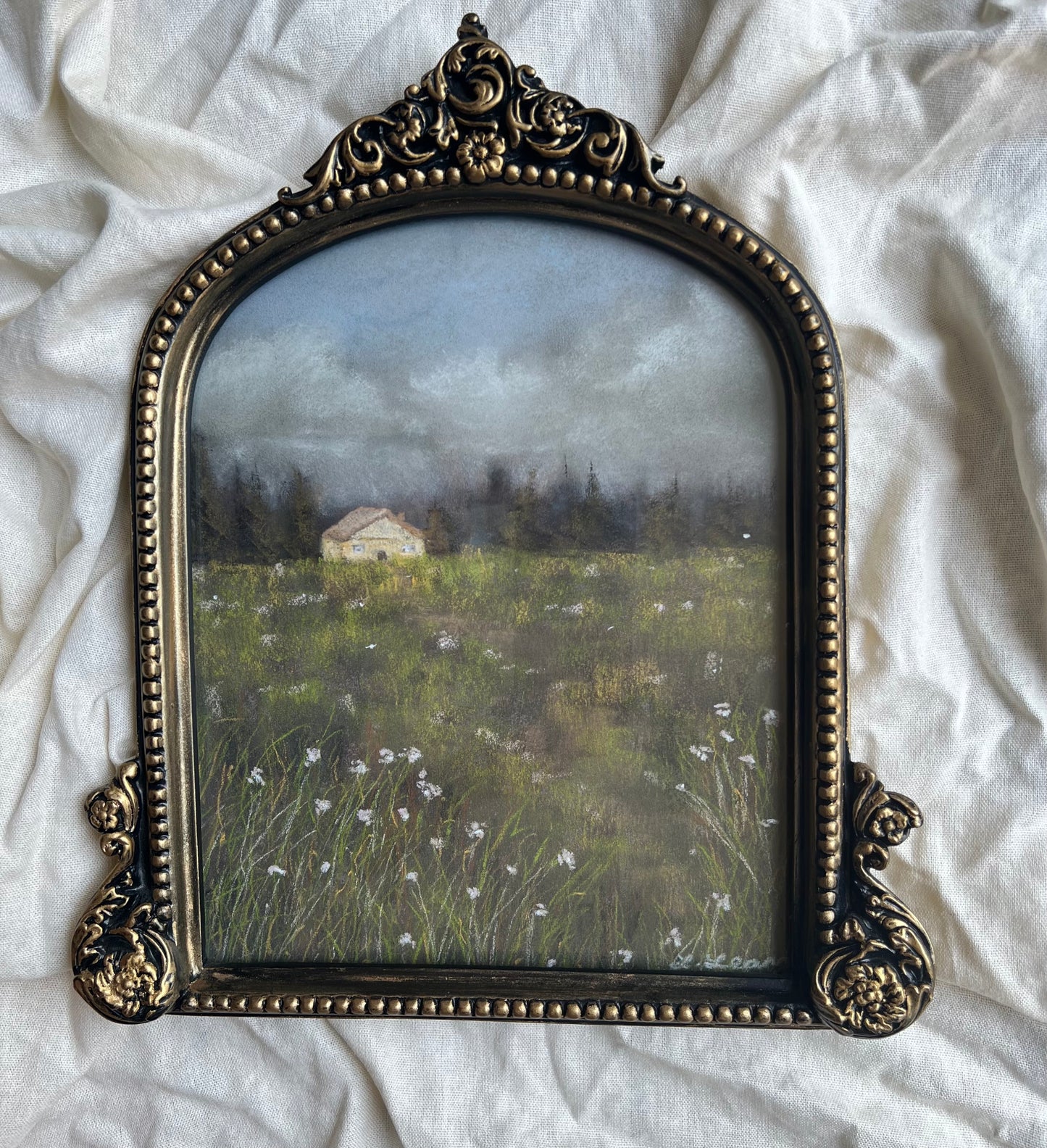 Meadow light